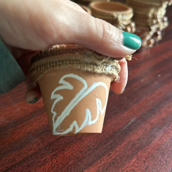 18 Mini Monstera Pots - Picture 5 of 5